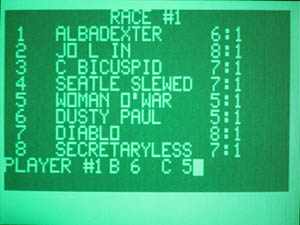 Horserace